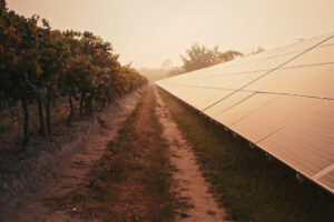 The ESG Backlash: Politics and Shareholder Primacy