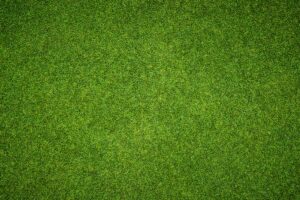 Reimagining the Business of Professional Golf: A Business Drama in Multiple Acts