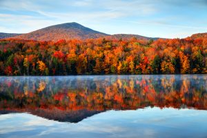 The Legal Landscape for DEI: One Year After the Harvard/UNC Decision